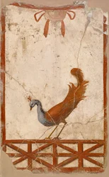 Wandfragment mit Pfau, 1. Jahrhundert